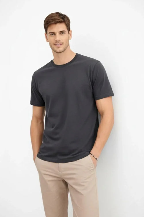 Erkek Bisiklet Yaka Tişört Regular Kalıp Basic Pamuklu Günlük Kullanım T-shirt - Füme (184262)